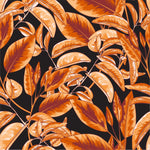 Stylish Black Wallpaper with Leaves Fashionable