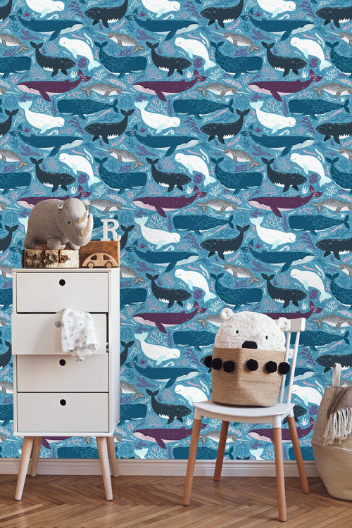 Marine Mammals Wallpaper