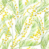 Mimosa Watercolor Wallpaper