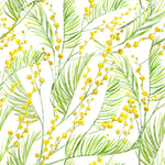 Mimosa Watercolor Wallpaper