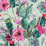 Pink Cactus Flowers Wallpaper