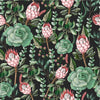 Protea and Succulents Wallpaper