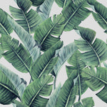 Green Palm Leaves Wallpaper Smart Quality