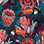 Toucans and Protea Wallpaper