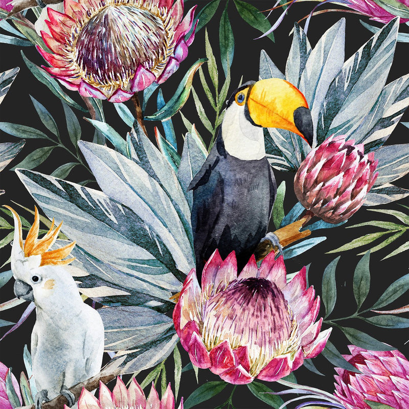 Parrots on Dark Wallpaper
