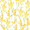 Mimosa Flowers Wallpaper