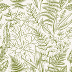 Green Ferns Wallpaper