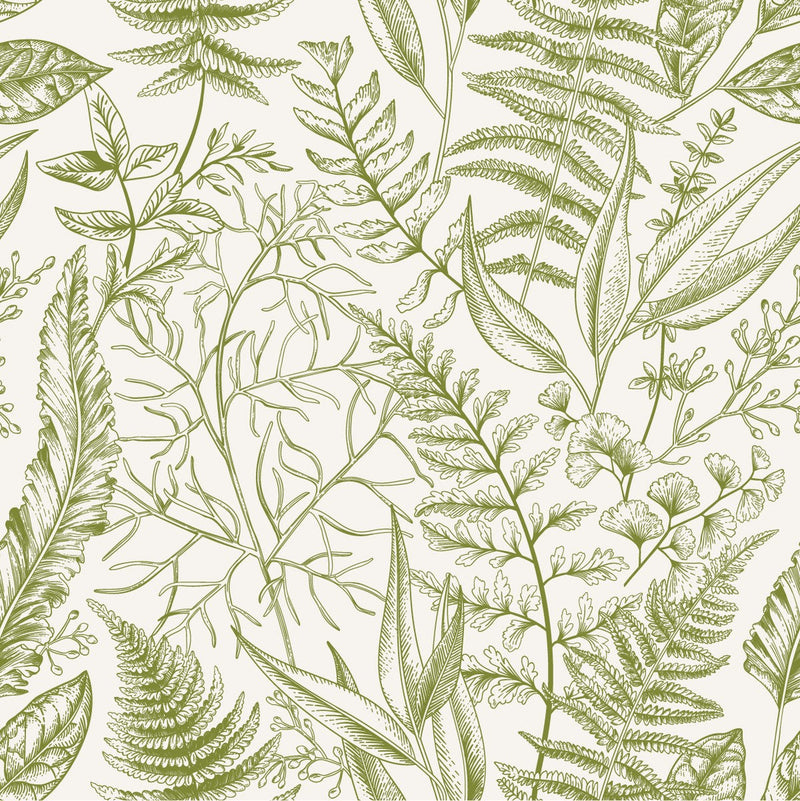 Green Ferns Wallpaper