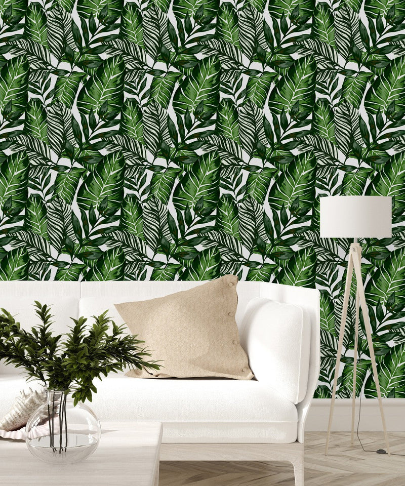 Green Plant Leaves Wallpaper