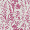 Botanical Graphic Wallpaper