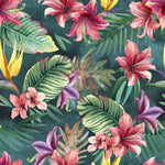 Palm and Leaves on Dark Background Wallpaper