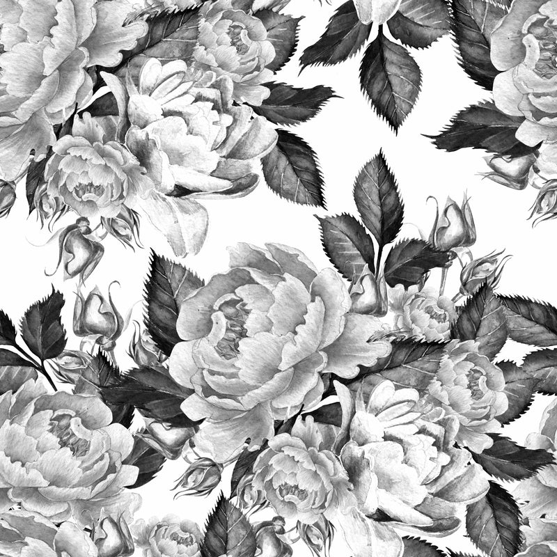 Peonies Flowers Watercolor  Black and White Wallpaper Mural
