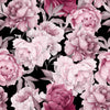 Pink Peony on Black Background Wallpaper Mural