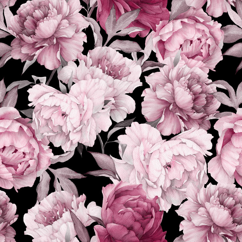 Pink Peony on Black Background Wallpaper Mural