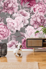Pink Peony on Gray Background Wallpaper Mural