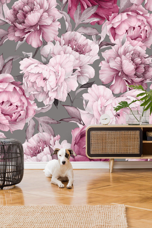 Pink Peony on Gray Background Wallpaper Mural