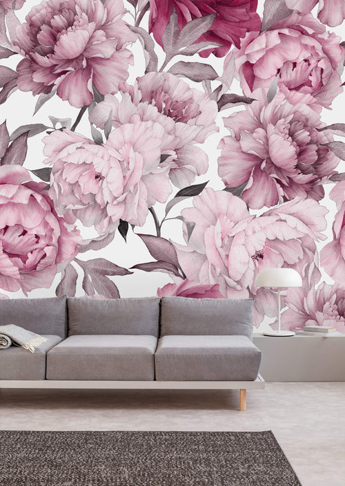 Pink Peony on White Background Wallpaper Mural