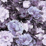 Purple Peony Flowers Wallpaper Mural