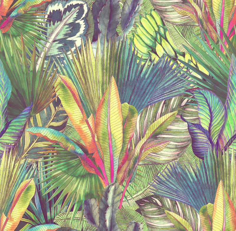 Tropical Jungle Wallpaper
