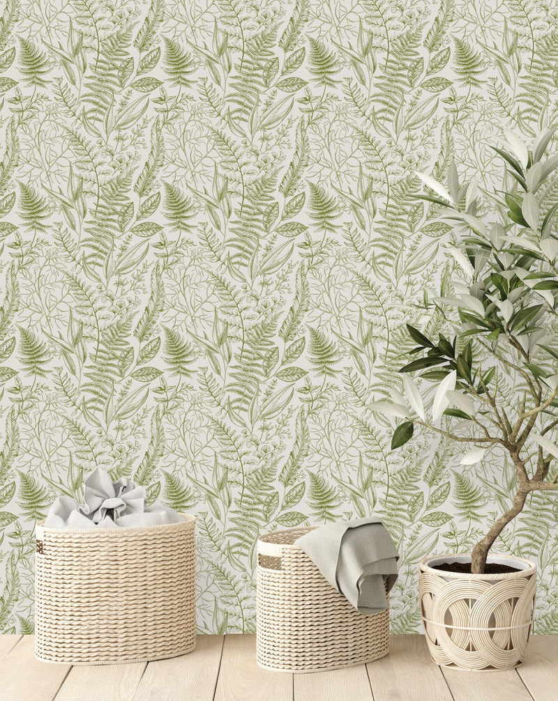 Green Ferns Wallpaper