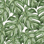 Stylish Tropical Green Leaves Wallpaper Tasteful