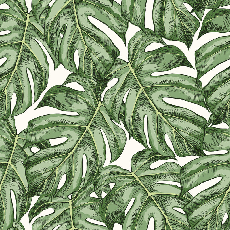 Stylish Tropical Green Leaves Wallpaper Tasteful