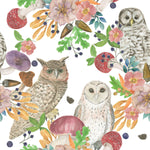 Owls and Mushrooms Wallpaper