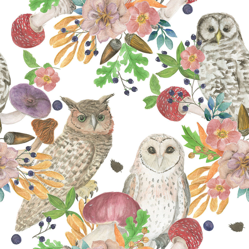 Owls and Mushrooms Wallpaper