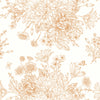 Contour of Asters Wallpaper
