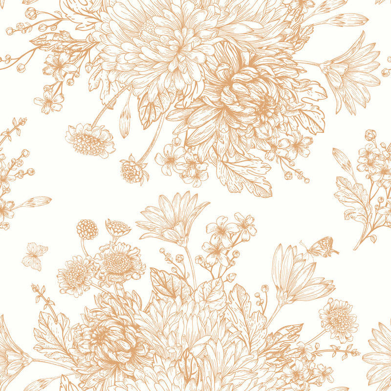 Contour of Asters Wallpaper
