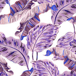 Brightly Violet Wallpaper