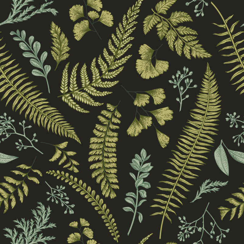 Fern Leaves on Dark Background Wallpaper