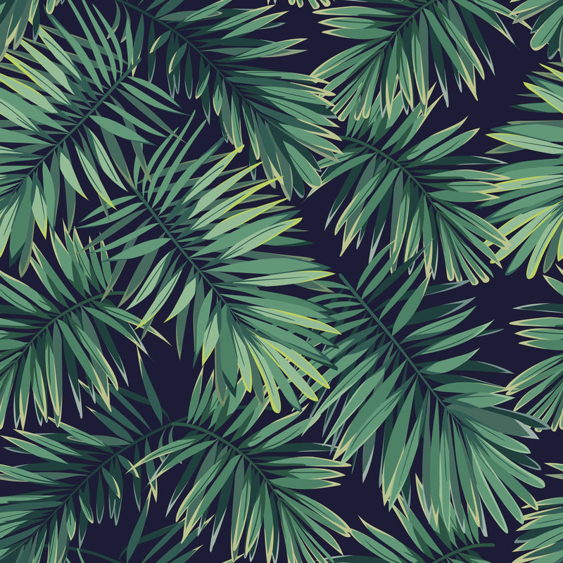 Palm, leaves, green, dark, HD phone wallpaper