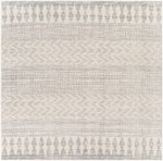 Chinnor Neutral Area Rug