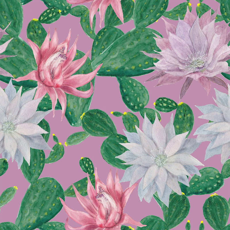 Pink Wallpaper with Cactus Flowers