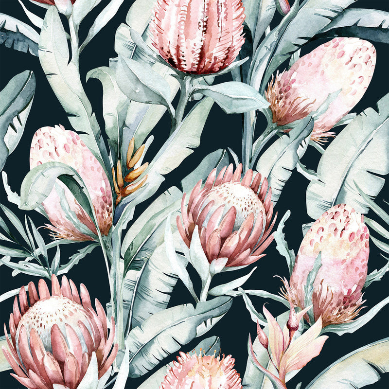 Black Wallpaper with Protea Flowers
