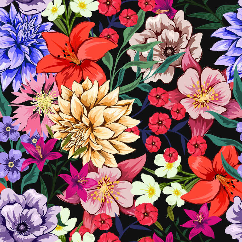 Asters and Lilies Flowers Wallpaper