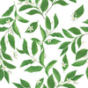 Voguish Jasmine Wallpaper Tasteful