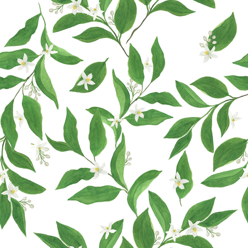 Voguish Jasmine Wallpaper Tasteful