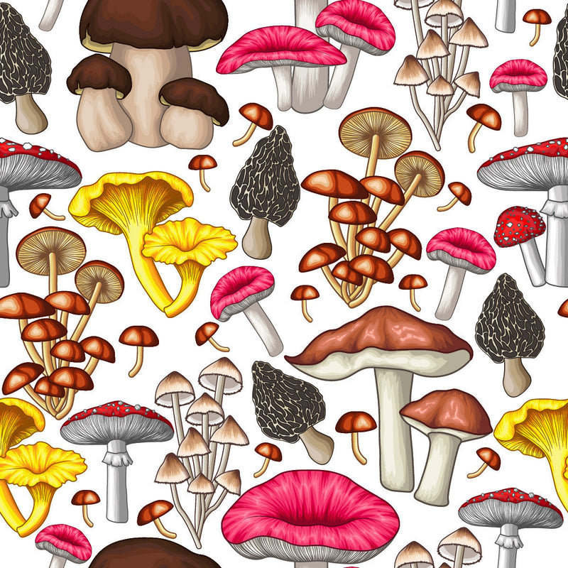Modish Mushrooms Pattern Wallpaper