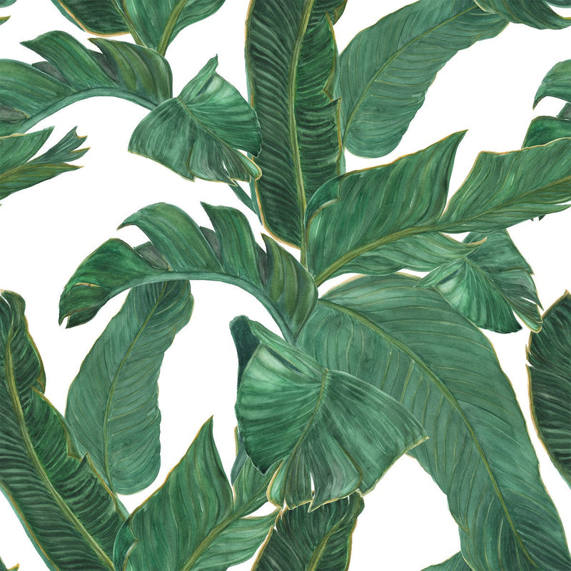 Stylish Green Palm Leaves Wallpaper Fashionable