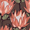 Red Protea Wallpaper