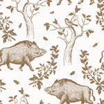 Wild Boars Wallpaper