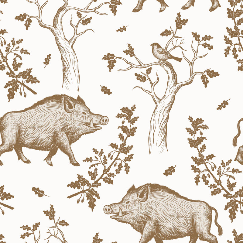 Wild Boars Wallpaper