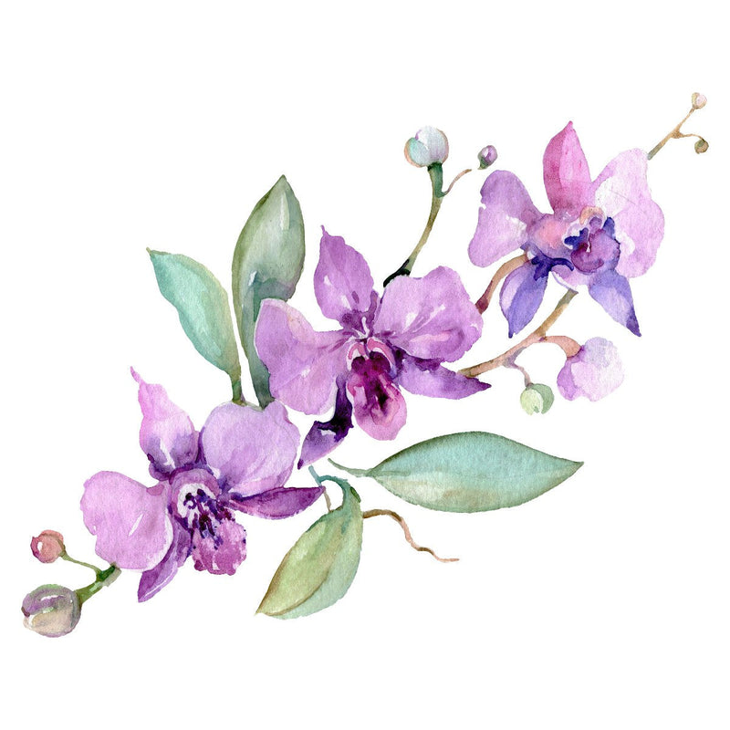 Modish Purple Orchid Wallpaper Chic