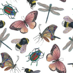 Bugs and Butterflies Wallpaper