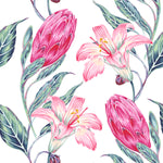 Pink Protea and Lilies  Wallpaper