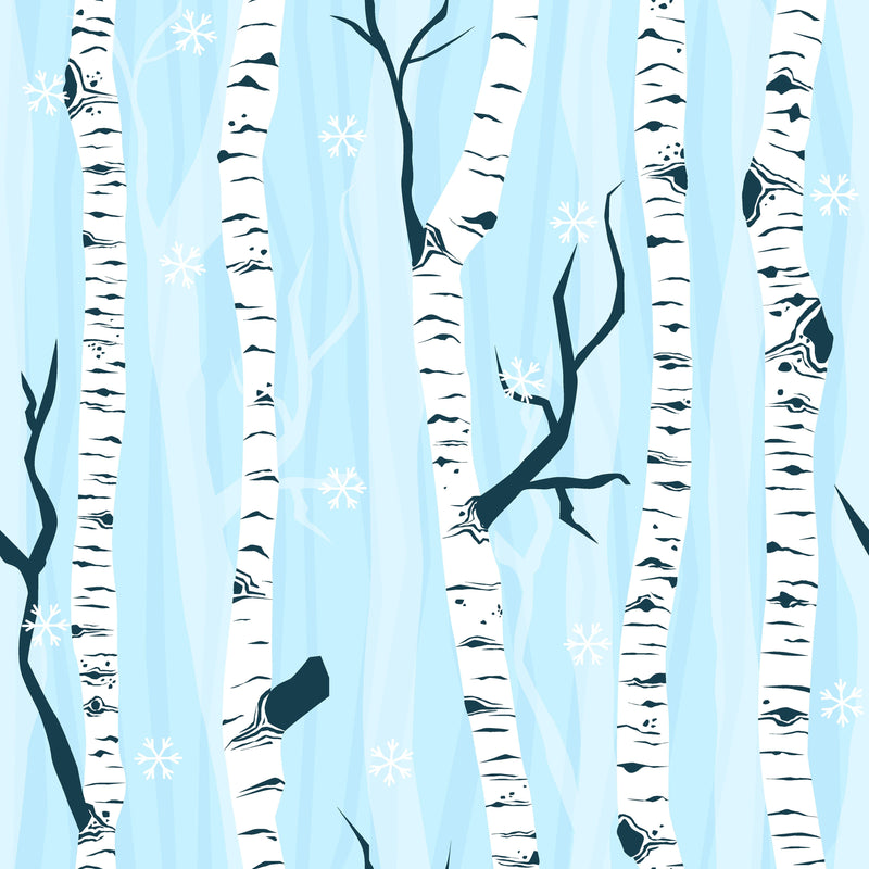 Winter Birch Forest Wallpaper