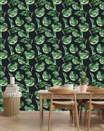 Ficus Wallpaper