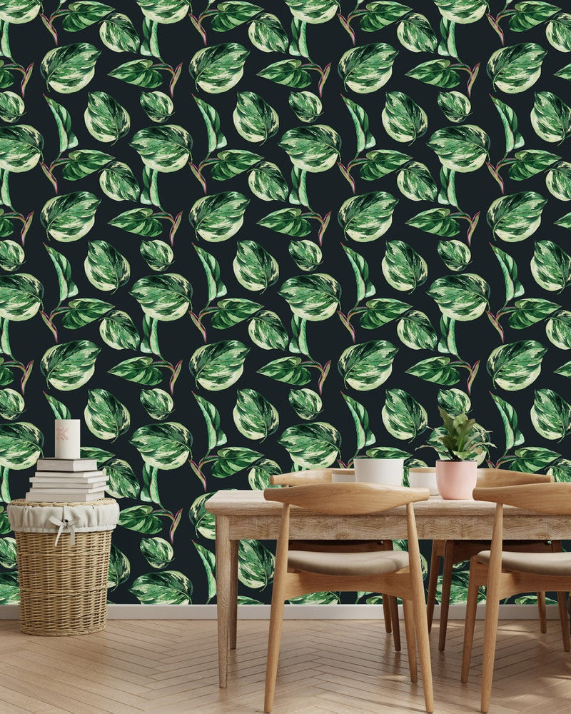 Ficus Wallpaper